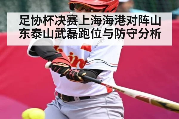 足协杯决赛上海海港对阵山东泰山武磊跑位与防守分析