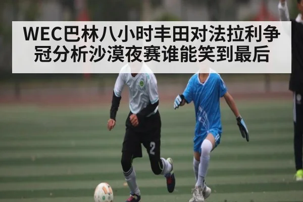 WEC巴林八小时丰田对法拉利争冠分析沙漠夜赛谁能笑到最后